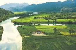 Ngày 22/8/2025, đấu giá quyền sử dụng đất và tài sản gắn liền với đất tại xã Đông Trạch, tỉnh Quảng Trị