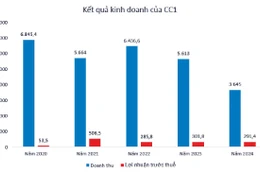 Nguồn: Báo cáo tài chính doanh nghiệp. Đơn vị tính: tỷ đồng