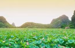 Ngày 23/04/2026, đấu giá quyền sử dụng đất cho thuê đối với các thửa đất nông nghiệp công ích trên địa bàn xã Mỹ Đức, TP. Hà Nội