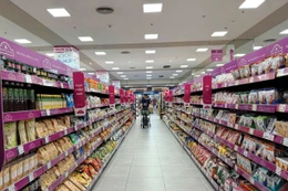 Dữ liệu về quy mô, lao động và kết quả sản xuất kinh doanh của các cơ sở kinh tế là cơ sở để biên soạn chính xác chỉ tiêu tổng sản phẩm trên địa bàn. Minh họa: Thu Huyền