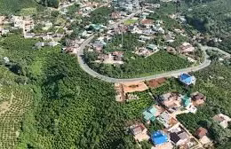 Ngày 14/5/2026, đấu giá quyền sử dụng đất tại xã Phú Sơn Lâm Hà, tỉnh Lâm Đồng