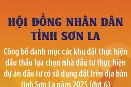 Danh mục các khu đất thực hiện đấu thầu lựa chọn nhà đầu tư thực hiện dự án đầu tư có sử dụng đất trên địa bàn tỉnh Sơn La năm 2025 (đợt 6)