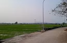 Ngày 27/5/2026, đấu giá quyền sử dụng đất và tài sản gắn liền trên đất tại xã Phù Lãng, tỉnh Bắc Ninh