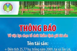 Công ty TNHH MTV Cao su Bình Phước thông báo về việc lựa chọn tổ chức thẩm định giá tài sản