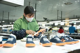 Kim ngạch xuất khẩu năm 2025 ước đạt 449,41 tỷ USD, tăng 18% so với năm 2024. Ảnh: Lê Tiên