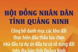 Danh mục các khu đất thực hiện đấu thầu lựa chọn nhà đầu tư thực hiện dự án đầu tư có sử dụng đất trên địa bàn tỉnh Quảng Ninh