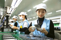 Cần khuyến khích và tạo điều kiện để doanh nghiệp tư nhân tham gia vào các lĩnh vực có tầm chiến lược như xây dựng đường sắt, hạ tầng năng lượng, hạ tầng số, sản xuất chip bán dẫn…Ảnh: Lê Tiên