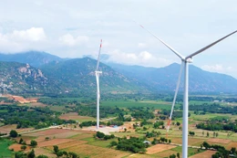 Sở Công Thương Quảng Trị đang lựa chọn nhà đầu tư thực hiện nhiều dự án điện gió. Ảnh: Nhã Chi