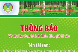 Công ty TNHH MTV Cao su Bình Phước thông báo