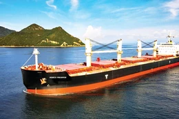 Công ty CP Vận tải biển Việt Nam (VOSCO) được thành lập năm 1970, hoạt động kinh doanh chính trong lĩnh vực vận tải biển. Ảnh: Minh Huế