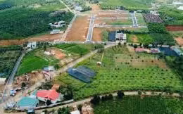 Ngày 30/6/2026, đấu giá quyền sử dụng đất tại xã Bảo Lâm 2, tỉnh Lâm Đồng