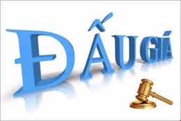 Ngày 08/12/2025, đấu giá khoản nợ của Công ty cổ phần tập đoàn xây dựng Ninh Giang tại BIDV - Chi nhánh Tây Hồ