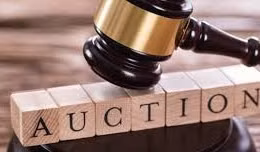 Ngày 09/4/2026, đấu giá toàn bộ dư nợ gốc, lãi và phí (nếu có) của Công ty TNHH Đầu tư Sản xuất Năng lượng TNC Sài Gòn