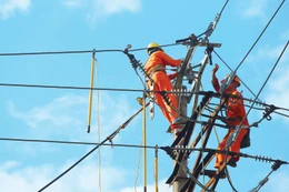 Hai gói thầu cung cấp vật tư thiết bị và thi công xây dựng do Công ty Điện lực Quảng Ninh làm chủ đầu tư đã chọn được nhà thầu. Minh họa: Nhã Chi