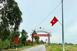 Ngày 27/02/2026, đấu giá quyền sử dụng đất và tài sản gắn liền với đất tại xã Nam Thanh Miện, TP. Hải Phòng