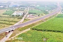 Ngày 13/02/2026, đấu giá quyền sử dụng đất tại xã Phước Thái, tỉnh Đồng Nai