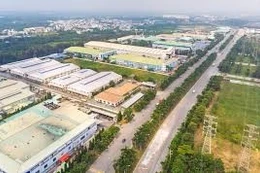 Ngày 10/02/2026, đấu giá quyền sử dụng đất tại xã Đức Lập, tỉnh Tây Ninh