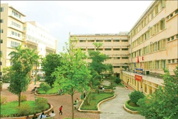 Dù các gói thầu xây dựng bệnh viện được tổ chức đấu thầu rộng rãi, nhưng tình trạng một nhà thầu dự rất phổ biến. Ảnh: Khôi Lê