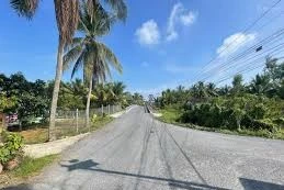 Ngày 13/02/2026, đấu giá quyền sử dụng đất tại xã Bình Phước, tỉnh Vĩnh Long