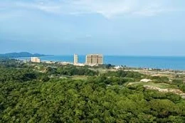 Ngày 10/02/2026, đấu giá quyền sử dụng đất tại xã Hồ Tràm, TP. HCM