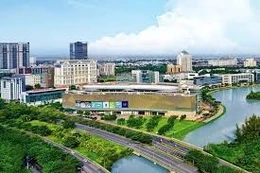 Ngày 04/02/2026, đấu giá quyền sử dụng đất tại phường Tân Thành, TP. HCM