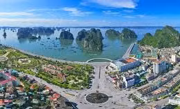 Ngày 14/05/2026, đấu giá quyền sử dụng đất tại phường Móng Cái 3, tỉnh Quảng Ninh