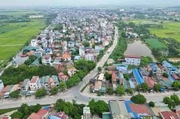 Ngày 23/12/2025, đấu giá quyền sử dụng đất tại TP. Hà Nội