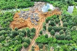 Ngày 15/12/2025, đấu giá 03 quyền sử dụng đất và tài sản gắn liền với đất tại xã Bảo Lâm 2, tỉnh Lâm Đồng