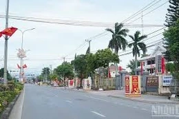 Ngày 12/12/2025, đấu giá quyền sử dụng đất tại xã Cam Hồng, tỉnh Quảng Trị