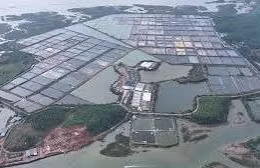 Ngày 21/8/2026, đấu giá quyền sử dụng đất và tài sản khác gắn liền với đất tại phường Bãi Cháy, tỉnh Quảng Ninh