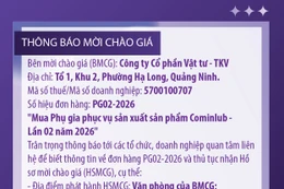 Công ty cổ phần Vật tư - TKV thông báo mời chào giá đơn hàng PG02-2026