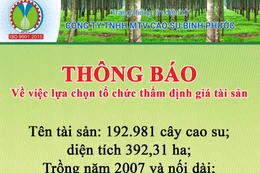 Công ty TNHH MTV Cao Su Bình Phước thông báo