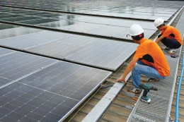 Sở Tài chính tỉnh Gia Lai công bố danh mục 8 dự án điện gió với tổng vốn đầu tư hơn 18.474 tỷ đồng và 4 dự án điện mặt trời với tổng vốn đầu tư hơn 3.410 tỷ đồng. Ảnh: Tiên Giang