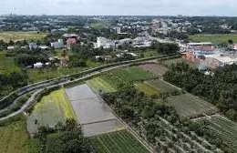 Ngày 23/4/2026, đấu giá quyền sử dụng đất tại phường Chánh Hiệp, TP. HCM