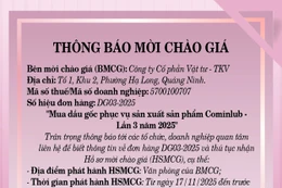 Công ty cổ phần Vật tư - TKV thông báo mời chào giá đơn hàng DG03-2025 