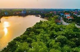 Ngày 06/04/2026, đấu giá quyền sử dụng đất và tài sản gắn liền với đất tại xã Nam Thanh Miện, TP. Hải Phòng