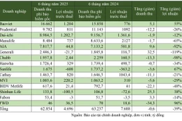 Kết quả kinh doanh nửa đầu năm 2025 của một số doanh nghiệp bảo hiểm nhân thọ 