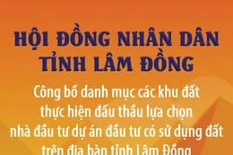 Danh mục các khu đất thực hiện đấu thầu lựa chọn nhà đầu tư thực hiện dự án đầu tư có sử dụng đất trên địa bàn tỉnh Lâm Đồng