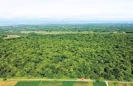 Ngày 22/5/2026, đấu giá quyền sử dụng đất tại tỉnh Quảng Trị