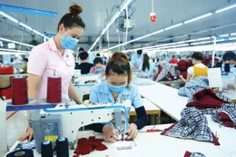 Trong tháng 1/2026, có 48.696 doanh nghiệp gia nhập và tái gia nhập thị trường, tăng 45,59% so với cùng kỳ năm 2025. Ảnh: Tiên Giang