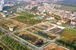 Nhiều thửa đất vùng ven Hà Nội có giá trúng đấu giá cao gấp nhiều lần giá khởi điểm. Ảnh: Khôi Lê