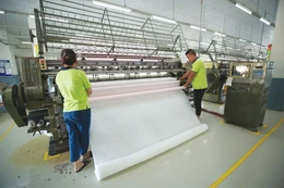 Các chính sách miễn, giảm, gia hạn thuế, phí, lệ phí và tiền thuê đất được triển khai trong năm 2025 đã phát huy hiệu quả tích cực, hỗ trợ kịp thời hoạt động sản xuất, kinh doanh. Ảnh: Lê Tiên