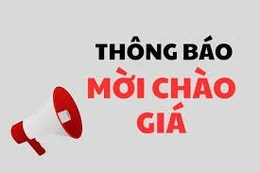 Công ty cổ phần Xi măng Vicem Hà Tiên thông báo mời chào giá