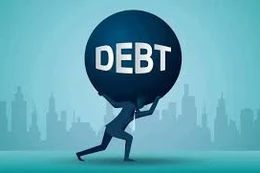 Vietinbank ủy quyền đấu giá khoản nợ của các khách hàng tại Chi nhánh Ba Đình