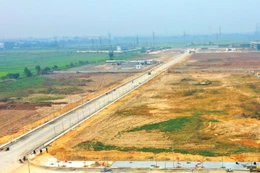 Nghị quyết số 66.11/2026/NQ-CP được ban hành nhằm khắc phục tình trạng các cá nhân trả giá cao để trúng đấu giá rồi bỏ cọc, với mục đích thổi giá đất, gây lũng đoạn thị trường. Ảnh: Phúc An