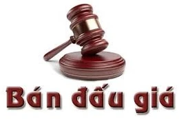 Ngày 24/9/2025, đấu giá 01 xe ô tô biển kiểm soát: 14C-373.34(T)