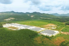 Nhà máy Chế biến nông sản và dược liệu Sao Mai có tổng vốn đầu tư 500 tỷ đồng, đặt tại Khu công nghiệp Sao Mai (Quảng Ngãi)