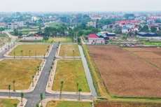 Có ý kiến đề xuất bổ sung quy định về khoản tiền đặt cọc sau khi trúng đấu giá là khoản tiền đặt trước và số tiền phải nộp thêm để đảm bảo tiền đặt cọc bằng 20 - 50% giá trúng đấu giá. Ảnh: Tiên Giang