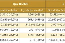 Kết quả kinh doanh của một số doanh nghiệp tôn thép. Nguồn: Báo cáo tài chính hợp nhất của doanh nghiệp - Đơn vị tính: tỷ đồng