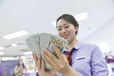 Việc Fed chưa hạ lãi suất khiến tỷ giá USD/VND giữ ở mức cao, ảnh hưởng đến hoạt động xuất nhập khẩu của doanh nghiệp và gây khó cho nỗ lực giảm lãi suất của Việt Nam. Ảnh: Tường Lâm